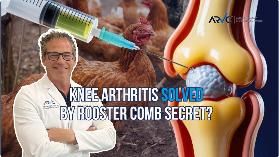 Video: the ARVC team explains rooster comb (hyaluronic acid) gel injections for knee arthritis